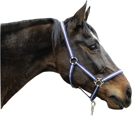 Cabezada Caballo Nylon Marino/Azul Talla Pony 1