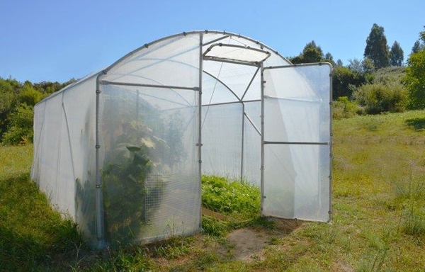 Invernadero Tunel Profesional 3,5 x 8 metros