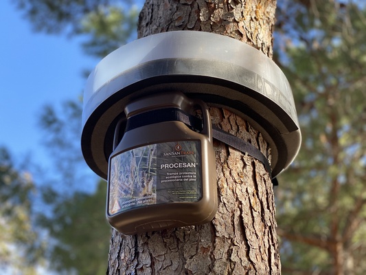 Trampa para la Procesionaria del Pino Procesan Trampa para la Procesionaria del Pino Procesan