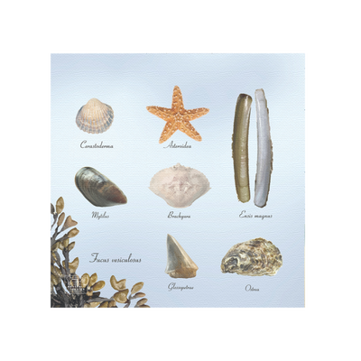 Servilletas de Papel Playa 33x33cm