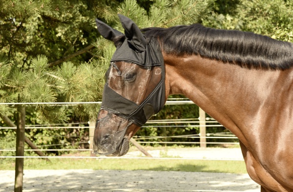 Mascara anti moscas caballos con protecci�n para los oidos y la nariz