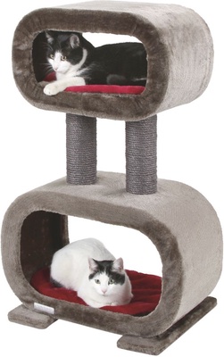 Arbol rascador Gatos Rubin