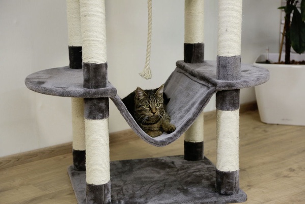 Arbol rascador Gatos Matteo gris