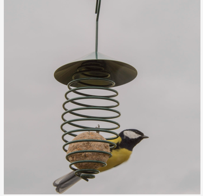 Comedero para Pajaros Muelle con Techo