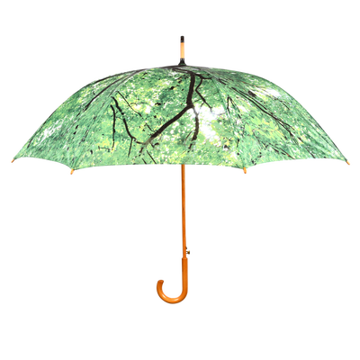 Paraguas Diseño Arbol Paraguas Diseño Arbol