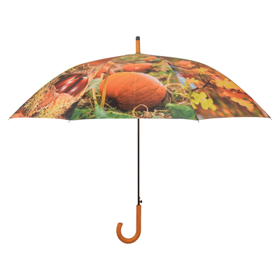 Paraguas Dise�o Oto�o