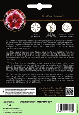 Semilla Flor Comestible Clavel Chino