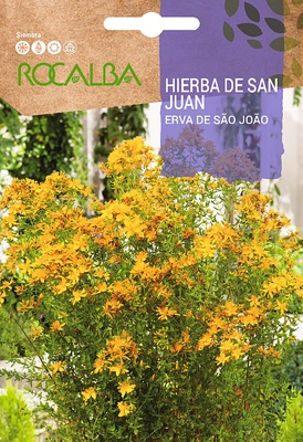 Semilla Hierba de San Juan