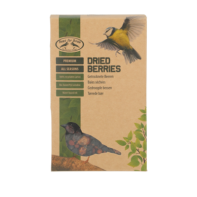 Bayas Secas Pajaros Bayas Secas Pajaros