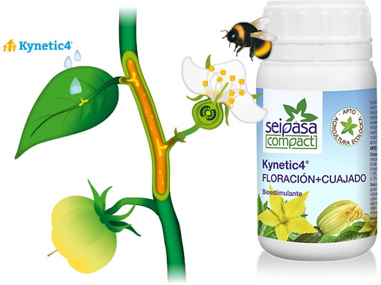 Bioestimulante Floracion y Cuajado Kynetic4 250 ml