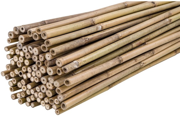 Pack 200 Tutores Bambu 150 cm Grosor 10-12mm Pack 200 Tutores Bambu 150 cm Grosor 10-12mm