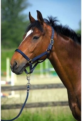 Cabestro de Nylon Marr�n Forrado de Cuero para Pura Sangre