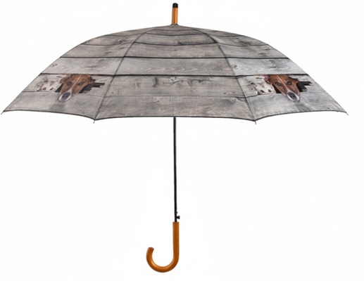 Paraguas Perro y Gato Paraguas Perro y Gato