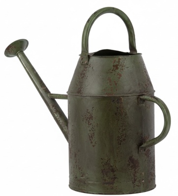 Regadera Vintage L Regadera Vintage L