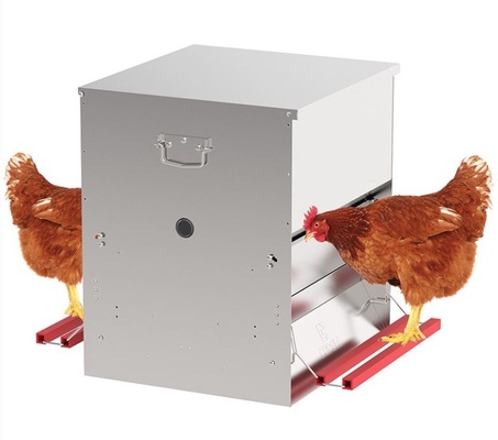 Comedero Automatico Gallinas Safeed