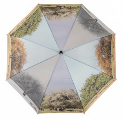 Paraguas 4 Estaciones