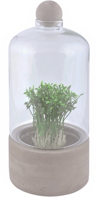 Botella Terrario Base Cemento L