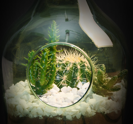 Set Terrario 3L Esschert