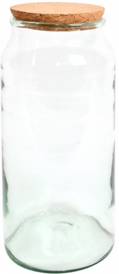 Botella Terrario Medio Abierta L Botella Terrario Medio Abierta L