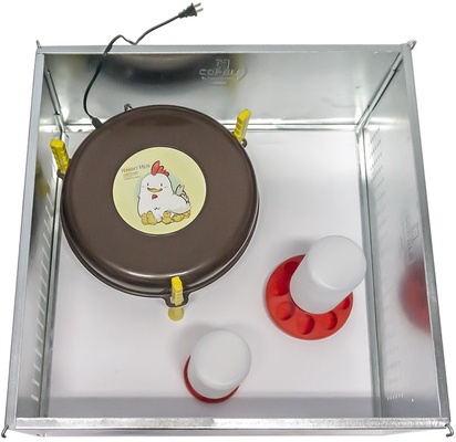 Kit Iniciacion Pollitos 1� Edad