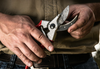 Estuche Tijeras de Poda Felco No 2 y Serrucho