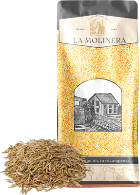 Avena Blanca en Grano 20 kg