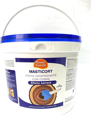Pasta Cicatrizante Masticort con Cobre 1 Kg