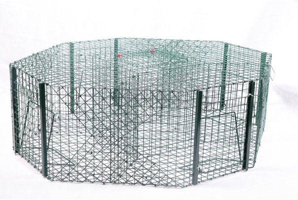 Jaula Captura Urracas Octogonal Pintada