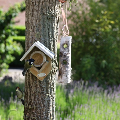 Mantequilla de Cacahuete con Frutos Secos Troceados