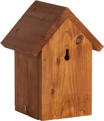 Caja Nido Pajaro Invierno Douglas