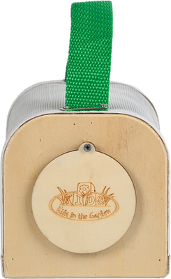 Caja de Madera Estudio Insectos 