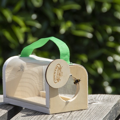 Caja de Madera Estudio Insectos 