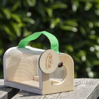 Caja de Madera Estudio Insectos 