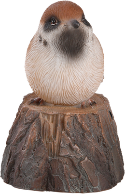 Pajaro de Bienvenida Cantarin