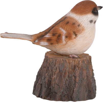 Pajaro de Bienvenida Cantarin