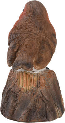 Pajaro de Bienvenida Cantarin