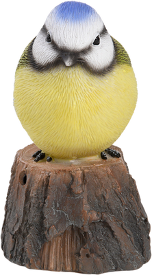 Pajaro de Bienvenida Cantarin