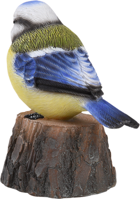 Pajaro de Bienvenida Cantarin