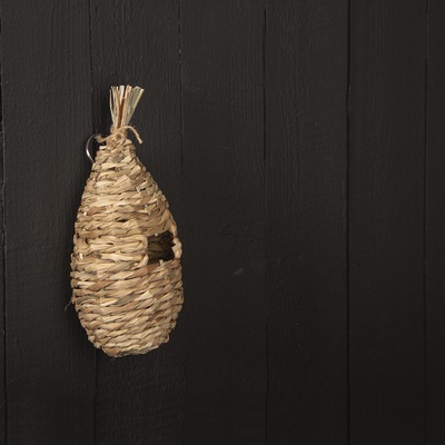 Bolsa Nido Reyezuelo