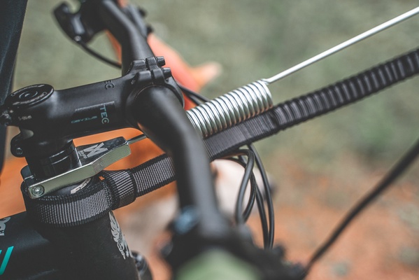 Antena Bicicleta Perros Bikejoring