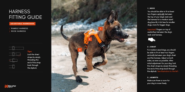 Arnes perros Non-Stop Rock harness