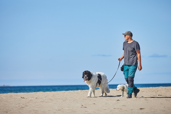 Correa Move Leash Verde