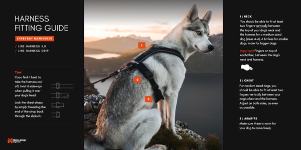 Arnes perros Non-stop Line harness 5.0 azul