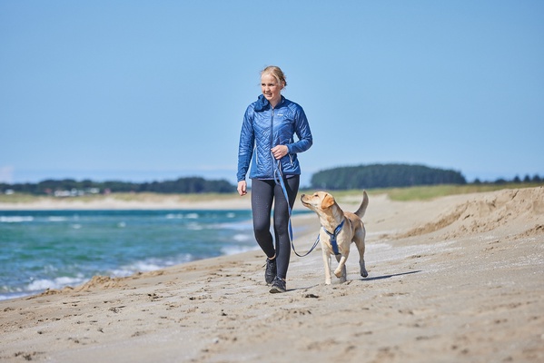 Arnes perros Non-stop Line harness 5.0 azul