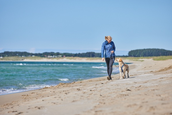 Arnes perros Non-stop Line harness 5.0 verde