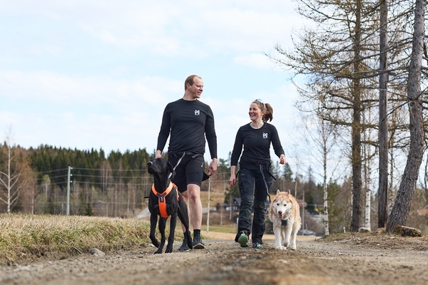 Arnes perros Non-stop Line harness 5.0 verde