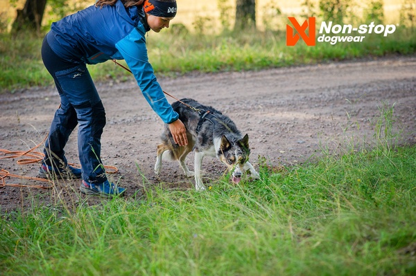 Arnes perros Non-stop Line harness 5.0 verde