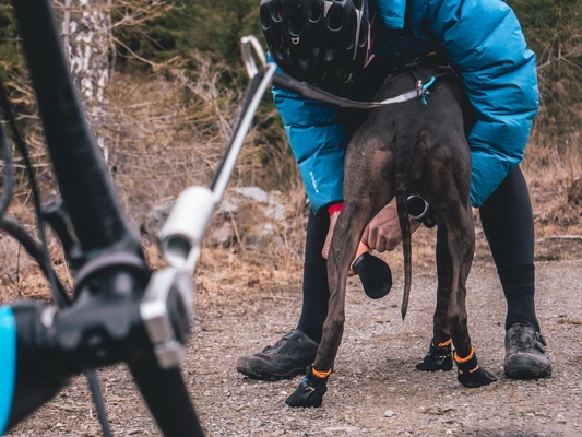 Botines Perro Protector Bootie Talla L