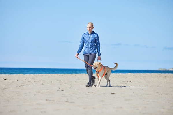 Correa Perros Move Leash Negro Talla 1.5m/15mm