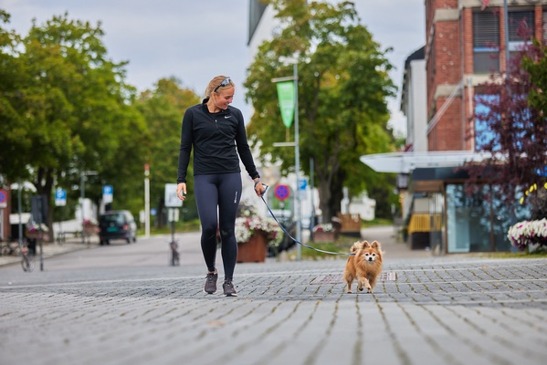 Correa Perros Move Leash Negro Talla 1.5m/15mm